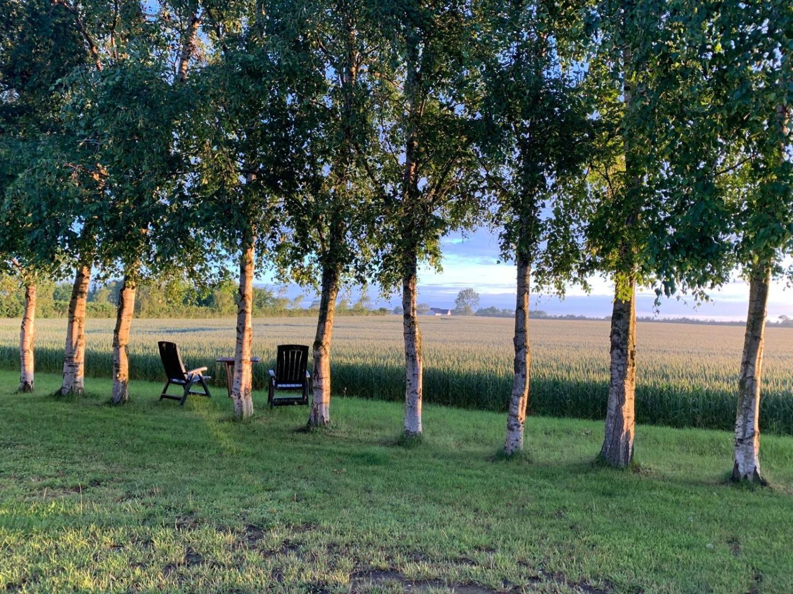 Romantic Luxus Glamping 3 Idestrup Exterior photo